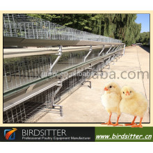 Automatic cage for growing broiler